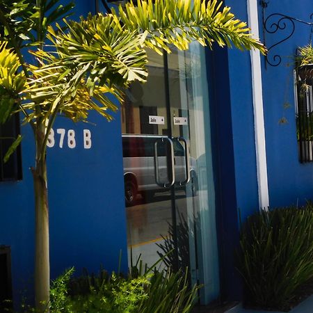 Hotel Boutique Casa Flor De Mayo 메리다 외부 사진
